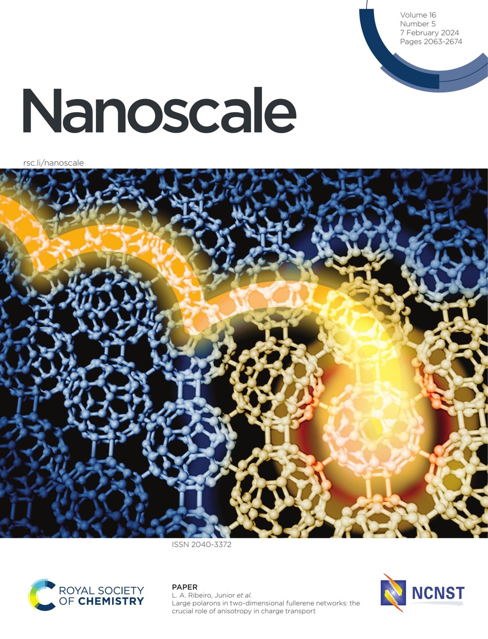 Capa · Nanoscale